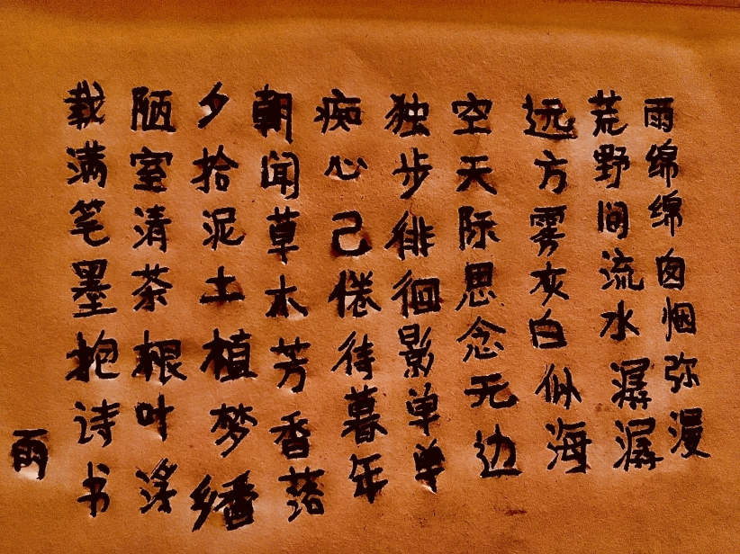雨（随笔）