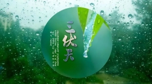 三伏天最要命的东西，不把它排掉，麻烦就大了！