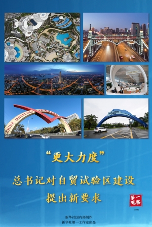 第一观察｜“更大力度”总书记对自贸试验区建设提出新要求