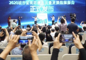 服务数字政府与优化营商环境该怎么做？专家们这样说……
