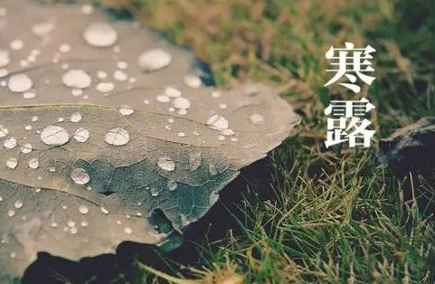 忆秦娥·寒露