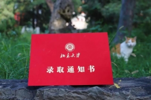 拿到研究生录取通知书后，学生们都会做这三件事，尤其是最后一件
