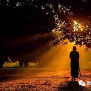 中国式聪明：很深刻，也很现实
