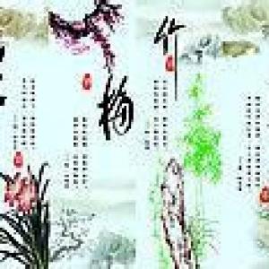 共同的品质，不同的表现