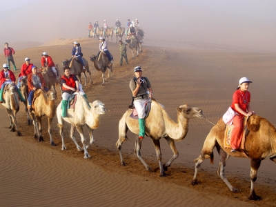 宁夏旅游：走进西部大漠沙坡头（图）