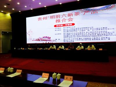做好贵州茶叶大文章 “明前六新茶”助力普安决胜脱贫攻坚战役