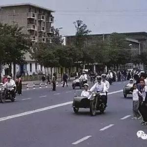 幕后揭秘：你知道1983年严打的起因吗？