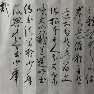 艺术家石维加草书：《书法赋》—书法之美