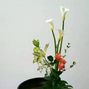 13.风情 ---第三卷 为卿憔悴欲成尘