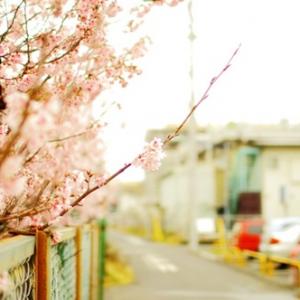 我的大学宿舍与爱情8