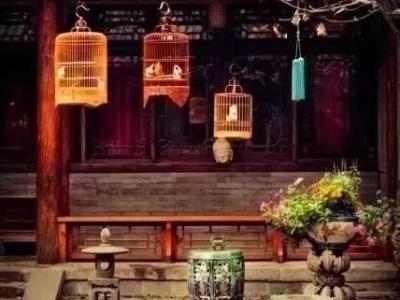 疫情时期，呆在家里读书上网……