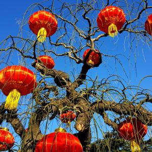 张灯结彩