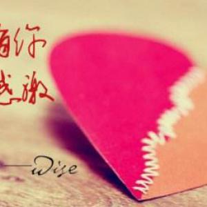 关于W网试行博主积分奖励通知
