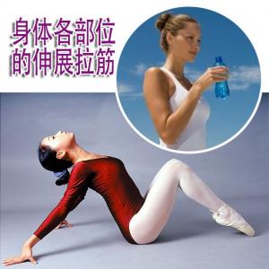 6套拉筋正确方法，必收！