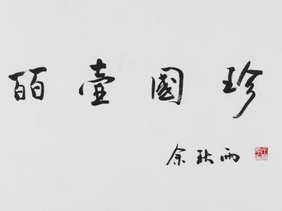 收藏新热点：翠色千年越窑青瓷